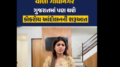 AAP नेता पायल सकारिया गांधीनगर आंदोलन को लेकर प्रेस वार्ता करते हुए।