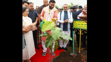 पिंजौर में बोले CM नायब सिंह सैनी: युवा बनें पर्यावरण संरक्षण और राष्ट्र निर्माण के भागीदार, वृक्षारोपण का लिया संकल्प