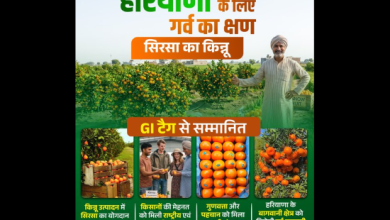 सिरसा किन्नू को GI टैग मिलने पर मुख्यमंत्री नायब सिंह सैनी की प्रतिक्रिया