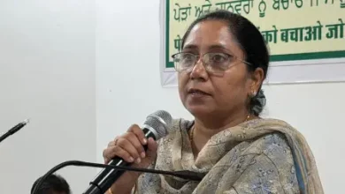 मान सरकार की सामाजिक सुरक्षा योजनाओं से 36 लाख से अधिक पंजाबियों को मिल रहा लाभ