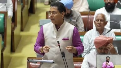 अमन अरोड़ा पंजाब में रोजगार और स्किल डेवलपमेंट योजनाओं पर जानकारी देते हुए