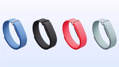 Google Fitbit Air स्क्रीन-फ्री फिटनेस बैंड