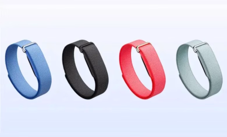 Google Fitbit Air स्क्रीन-फ्री फिटनेस बैंड