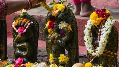 नाग पंचमी 2026 पर आठ नाग देवताओं की पूजा