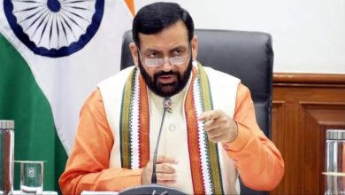 हरियाणा में कानून-व्यवस्था पर मुख्यमंत्री सैनी का बड़ा बयान, 4,771 अपराधी गिरफ्तार; 216 हथियार बरामद
