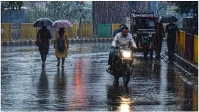 पंजाब में आज यलो अलर्ट: भारी बारिश की संभावना, तापमान में 3 डिग्री तक गिरावट के आसार