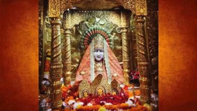 मां मनसा देवी की प्रतिमा और नागों का स्वरूप