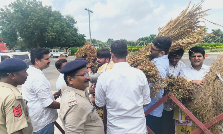 सूखी मूंगफली और चारा लेकर गुजरात विधानसभा पहुंचे AAP नेता