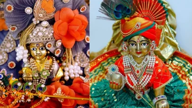 जन्माष्टमी से पहले घर लाने वाली चीजें