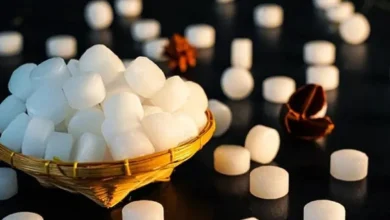 पिठोरी अमावस्या की रात करें कपूर का ये उपाय, घर की कलह और अशांति दूर करने की मान्यता 4 पिठोरी अमावस्या की रात कपूर जलाने का उपाय