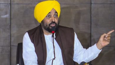 punjab 1