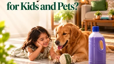 घर में छोटे बच्चे और Pets हैं? फर्श की सफाई के लिए फिनाइल और Plant based Cleaners में से ऐसे करें सही चुनाव 3 प्लांट-बेस्ड फ्लोर क्लीनर