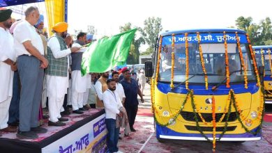 पंजाब में 100 नई मिनी बसों को हरी झंडी दिखाते मुख्यमंत्री भगवंत मान