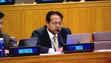 संयुक्त राष्ट्र में CJP प्रदर्शन और भारतीय युवाओं की स्वतंत्रता पर भारत का जवाब
