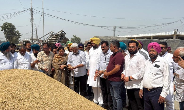 लाल चंद कटारूचक ने अनाज मंडियों में खरीद व्यवस्था का जायजा लिया